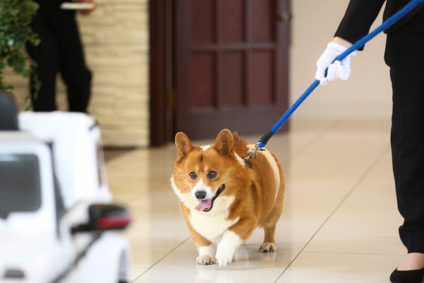 リハーサルから一緒に準備。当日も安心